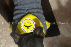 16.10.2021 Presentazioni Distaccamento P.I.V.E.C. 