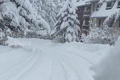 Emergenza neve 1--2-3- Aprile 2026 Rivisondoli