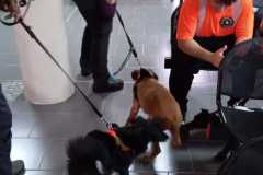 IMG-20220902-WA0051