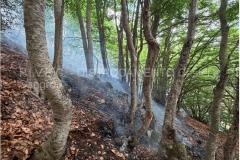 Incendio Bisegna 6 Agosto 2026