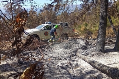 Incendio Monte Morrone 5 Settembre 2026